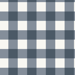 Gingham in Country Blue