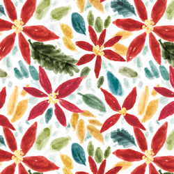 Poinsettia in Winter