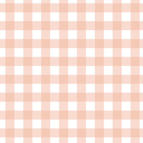 Gingham in Muted Peach