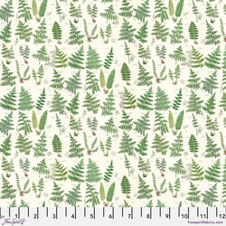Ferns in Green