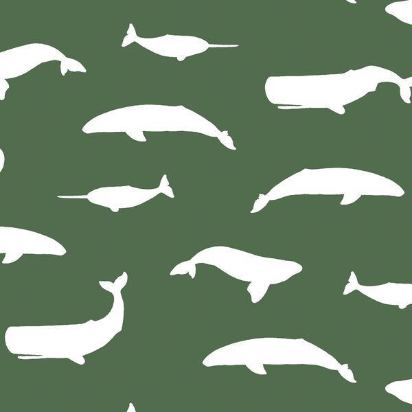 Whale Silhouette in Kale