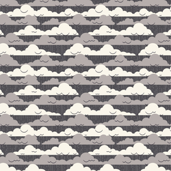 Cloudy Skies in Gray