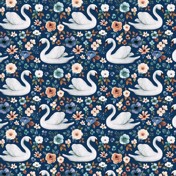 Little Swans in Royal Navy