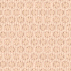 Honeycomb Dreams in Peach