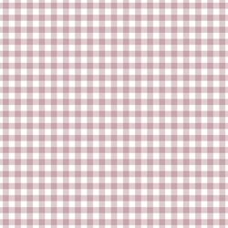 Western Gingham in Spanish Rose
