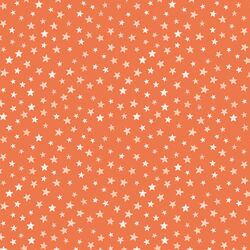 Starry Night in Pumpkin