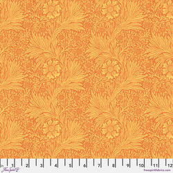 Marigold in Sunshine