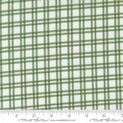 Plaid in Light Green