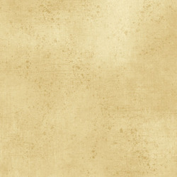 Gesso in Eggnog