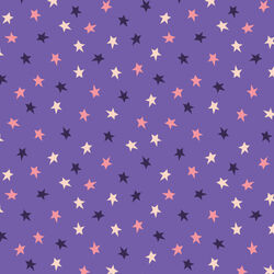 Starry Sky in Night