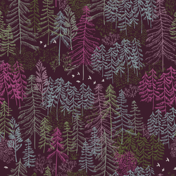 Forest Walk in Multi