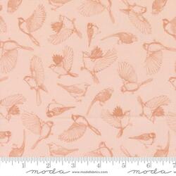 Flock of Feathers in Petal