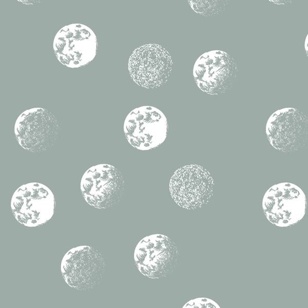 Moondance in Eucalyptus