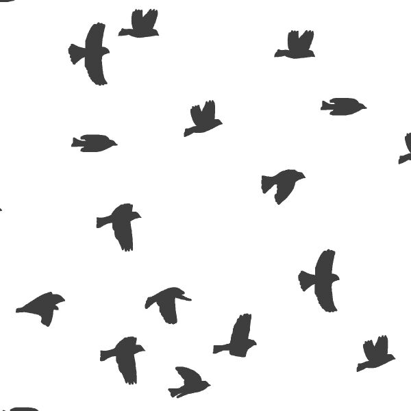 Flock Silhouette in Onyx on White