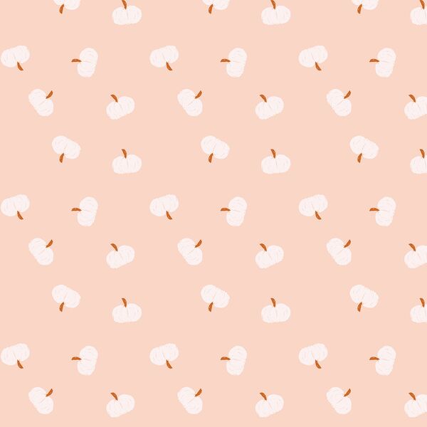 Mini Pumpkins in Shell Pink