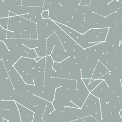 Star Charts in Eucalyptus