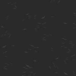 Silent Flight in Night Sky