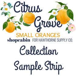 Citrus Grove Sample Strip in Small Oranges