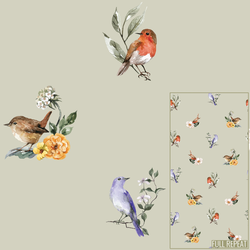 Garden Birds in Fern Green