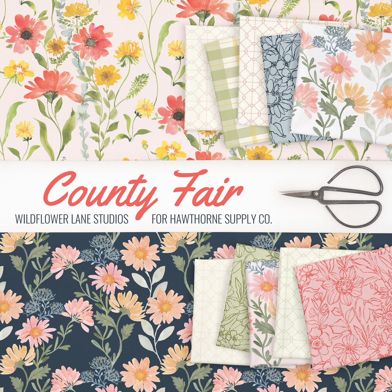 County Fair Poster Image