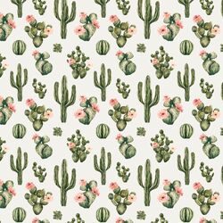 Little Blooming Desert in Cloud
