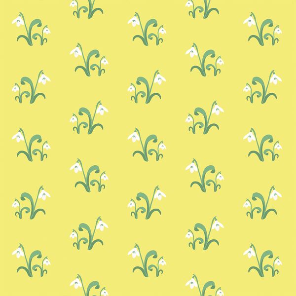 Snowdrop in Sunshine