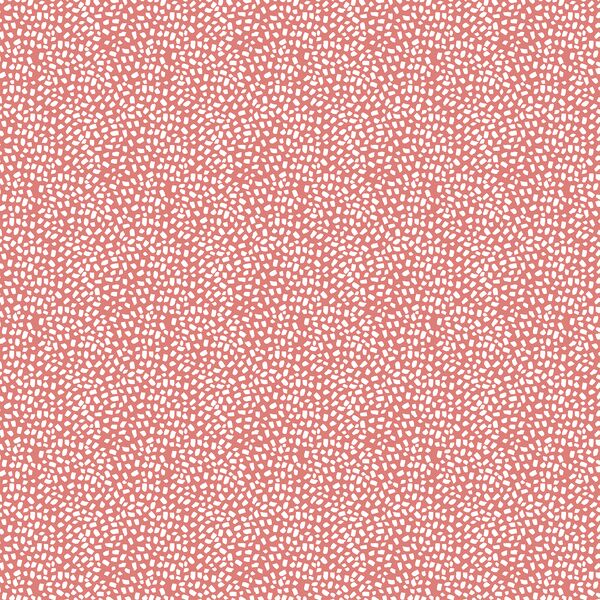 Texture in Coral
