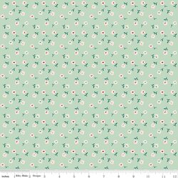 Daisy in Sage