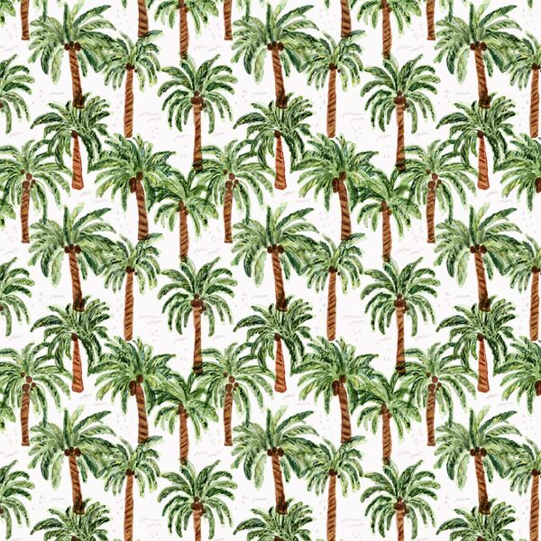 Little Palm Paradise in Coconut