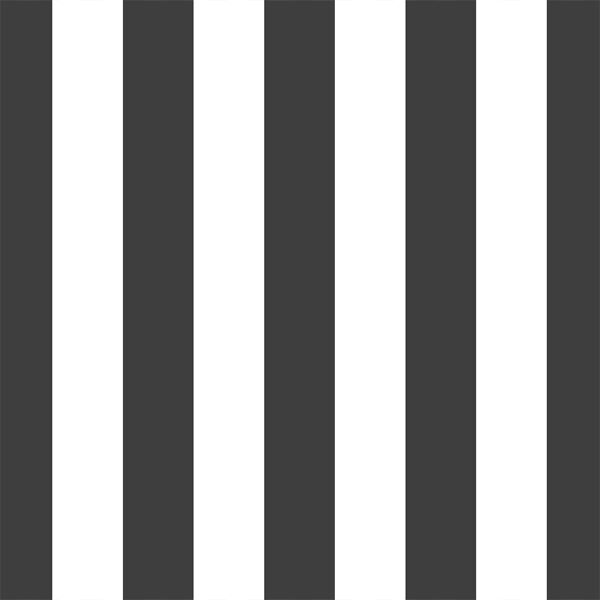 Play Stripe in Onyx