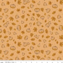 Pumpkins in Daisy