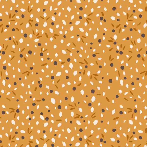 Seeds in Kumquat