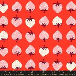 Strawberry in Lollipop