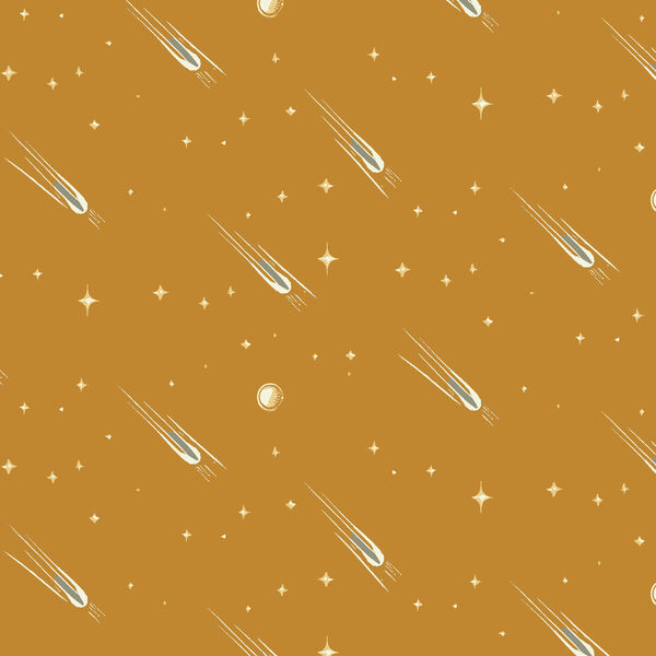 Path of the Meteorite in Dijon