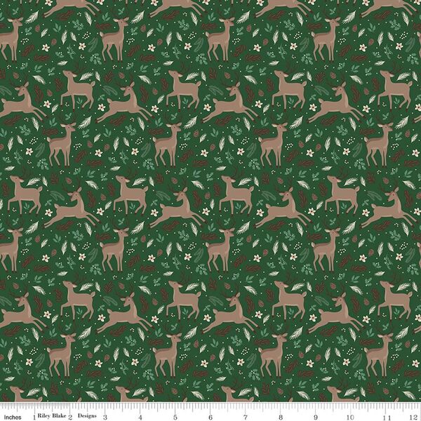 Deer in Forest