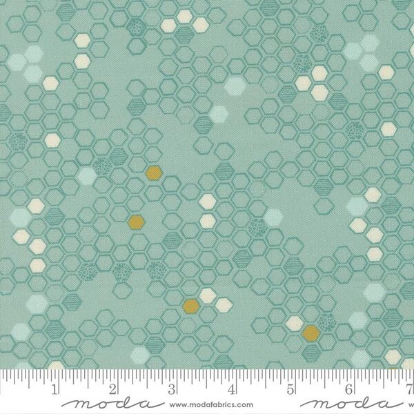 Honeycomb in Stream