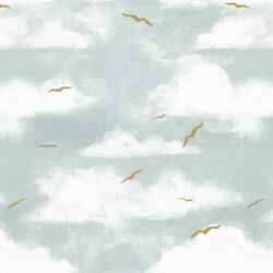Bird Watching in Clear Sky