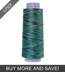 Lakeside View (9090-9815) - Silk Finish Cotton Multi 50wt - 1500 Yards (5 Pack)
