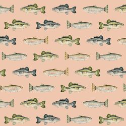 Fish in Pink