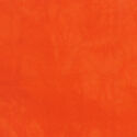 Palette in Tangerine