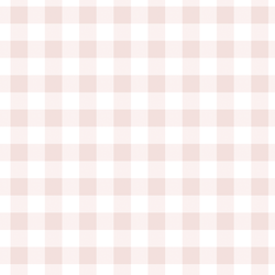 Gingham in Blush