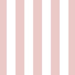 Play Stripe in Blush