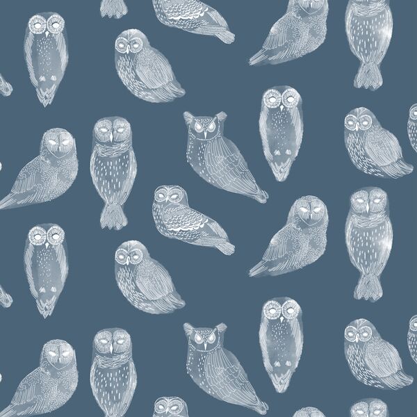 Snowy Owls in Twilight