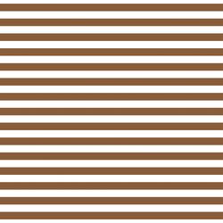 Shoreline Stripe in Coconut
