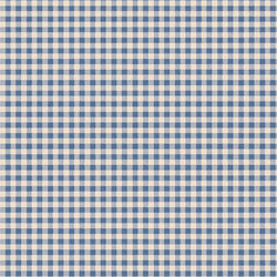 Gingham in Blue