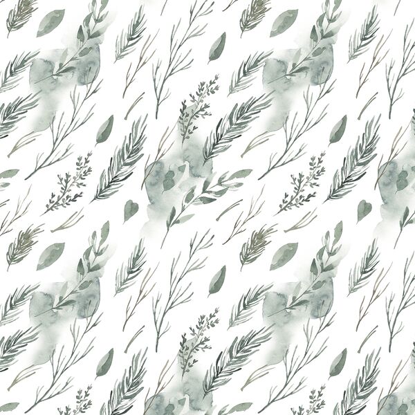 Pine Branches in Wild