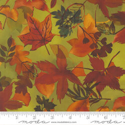 Fall Leaves in Leaf