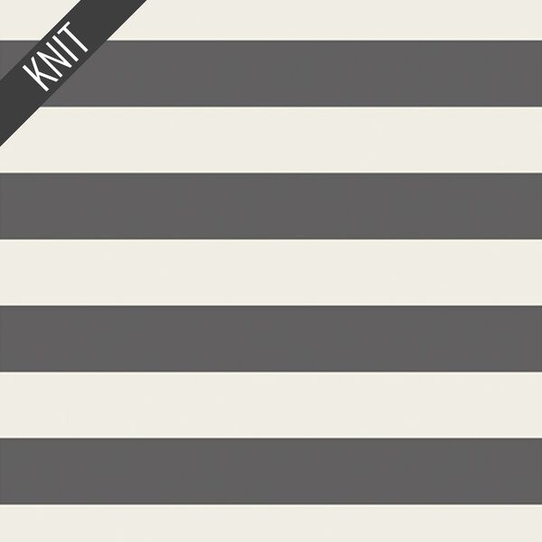 Striped Bold Knit in Graphite