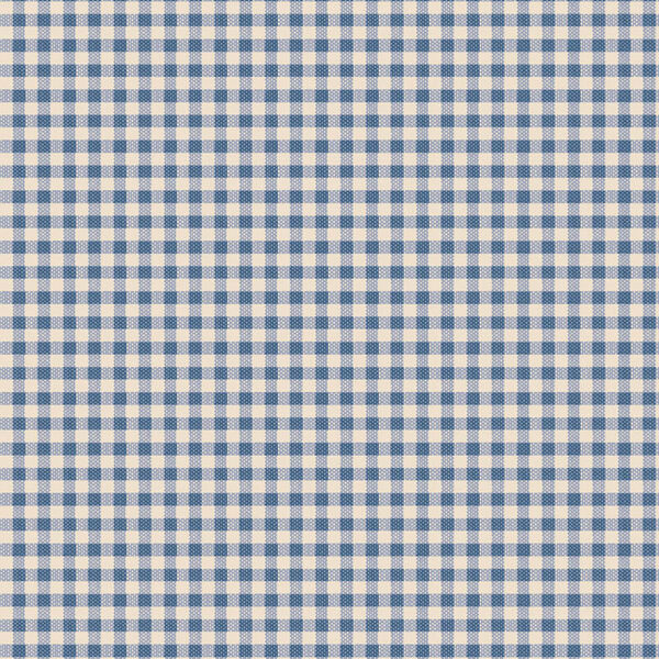 Gingham in Blue