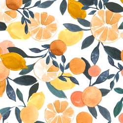 Citrus Paradise in White